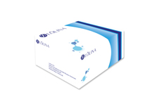 NaC20140103_DS_Lolina? Human AD-MSC stem-Prom? supplement kit 3，for adherent culture，Xeno Free